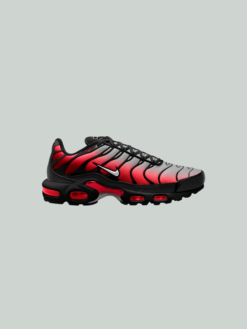 Zapatos Nike Air Max Plus